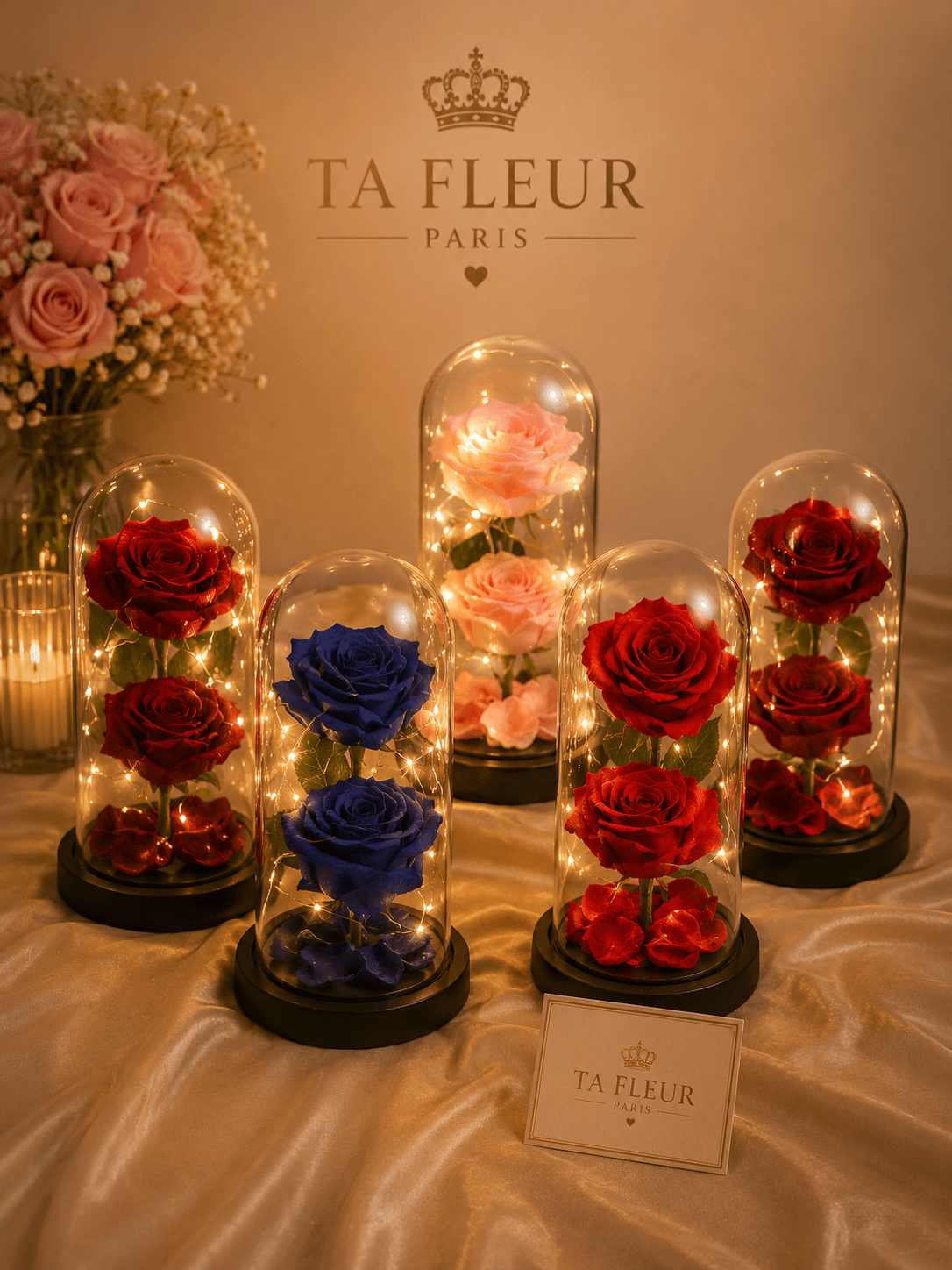 Dômes en verre TA FLEUR avec roses éternelles lumineuses rouge, bleu, rose sur guirlande LED